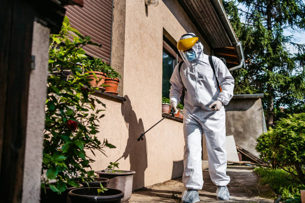 Wildlife Control Services in South Pasadena, CA