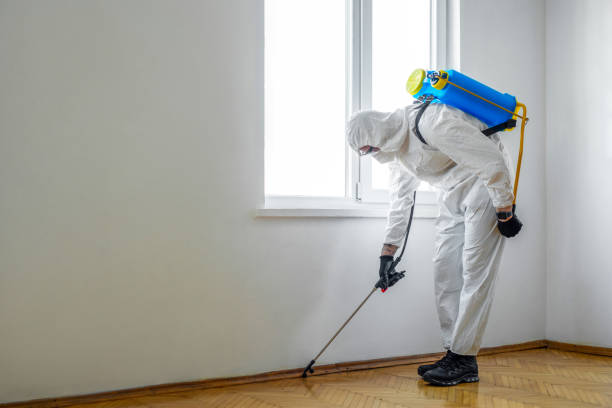 Best Commercial Pest Control Services  in South Pasadena, CA