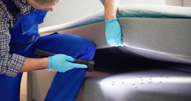 Best Pest Prevention Services  in South Pasadena, CA