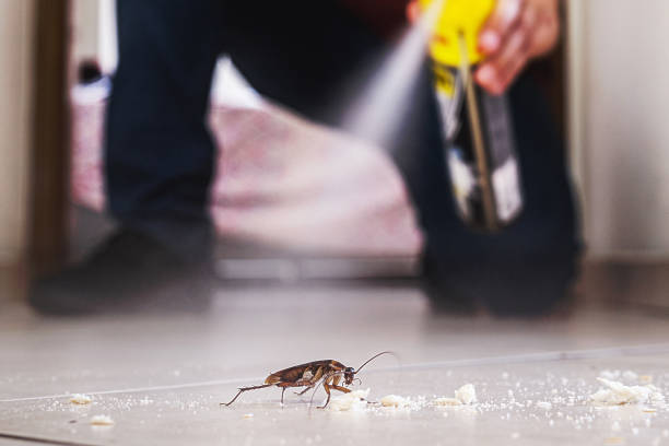 Best Pest Inspection Near Me  in South Pasadena, CA