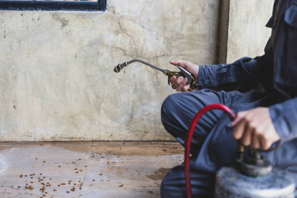 Best Wasp Removal Services  in South Pasadena, CA